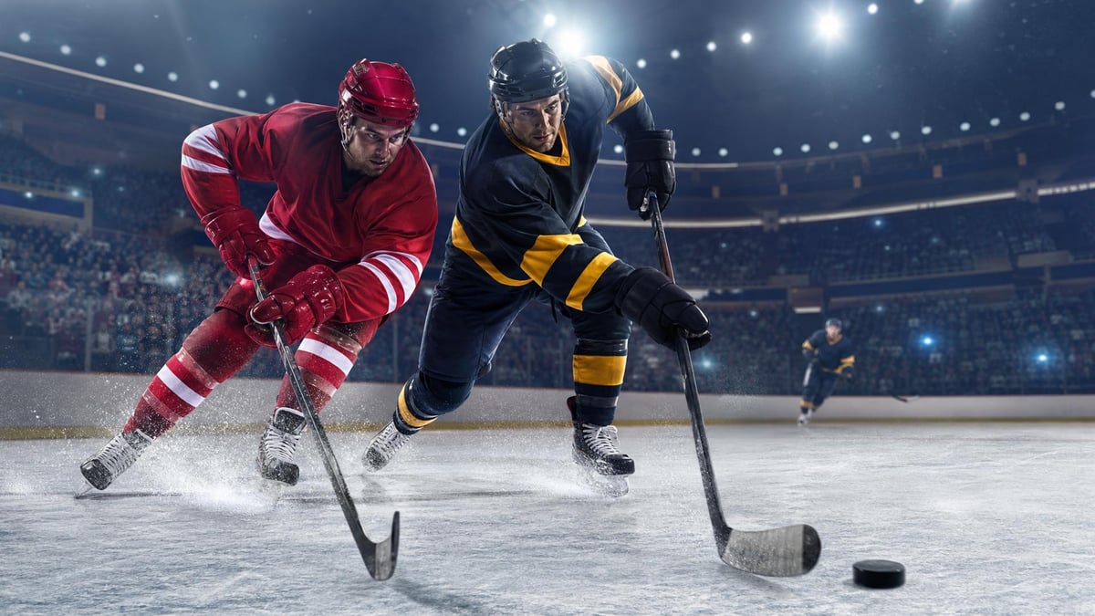 Två hockeyspelare.