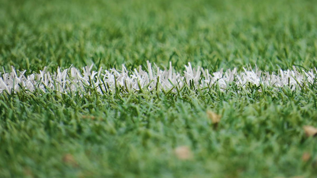 Närbild på gräset på en av fotbollsplanerna i Allsvenskan 2025.