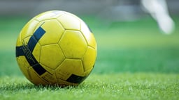 En fotboll på en gräsmatta.