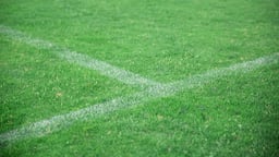 En närbild på gräset på en fotbollsplan i Superettan. 