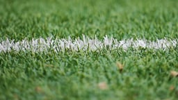 Närbild på gräset på en av fotbollsplanerna i Allsvenskan 2025.