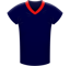 Houston Texans