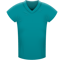 Miami Dolphins