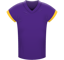 Minnesota Vikings