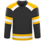 Boston Bruins